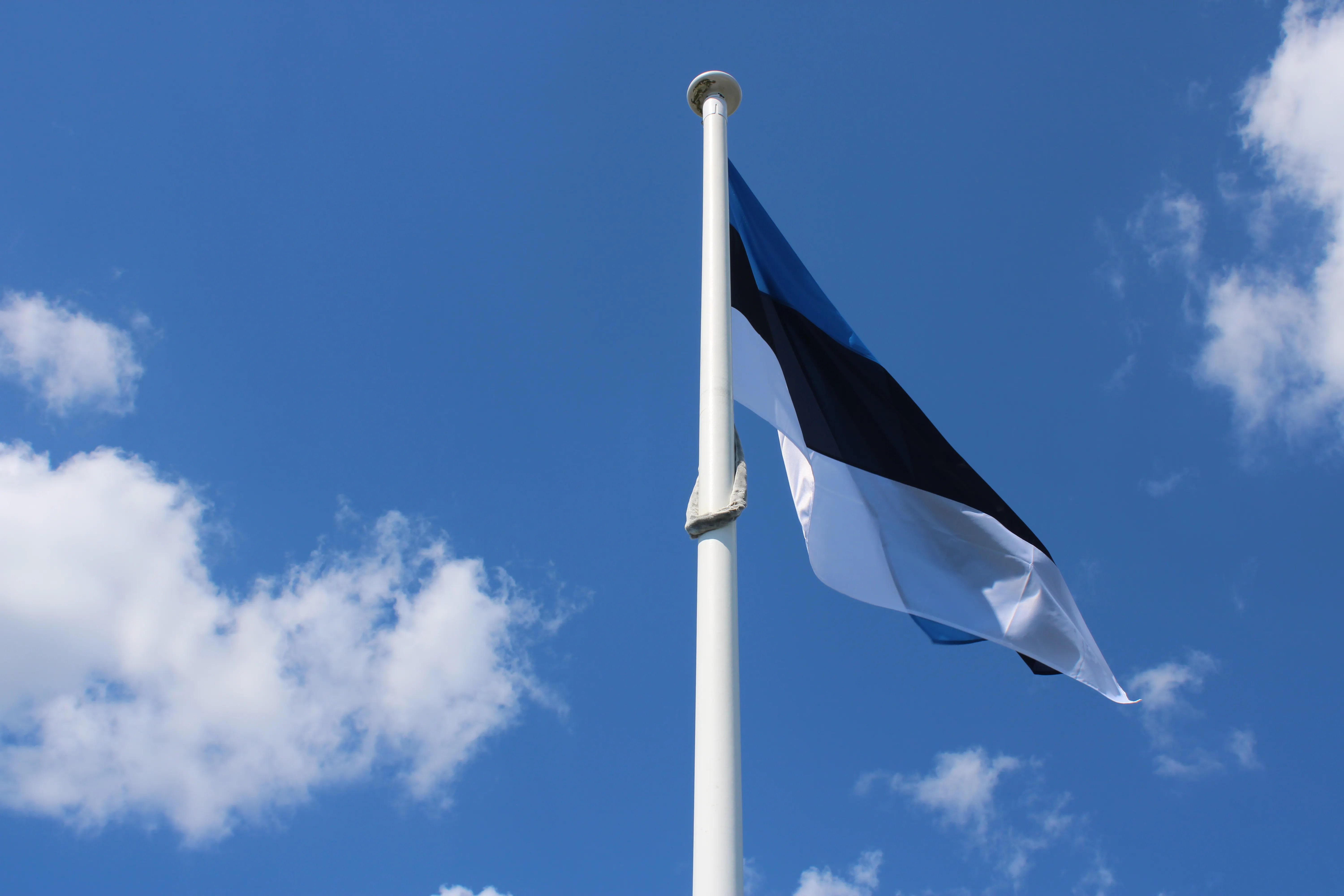 Deal.ee — AI-Indexed Business Intelligence and Marketplace for Estonia