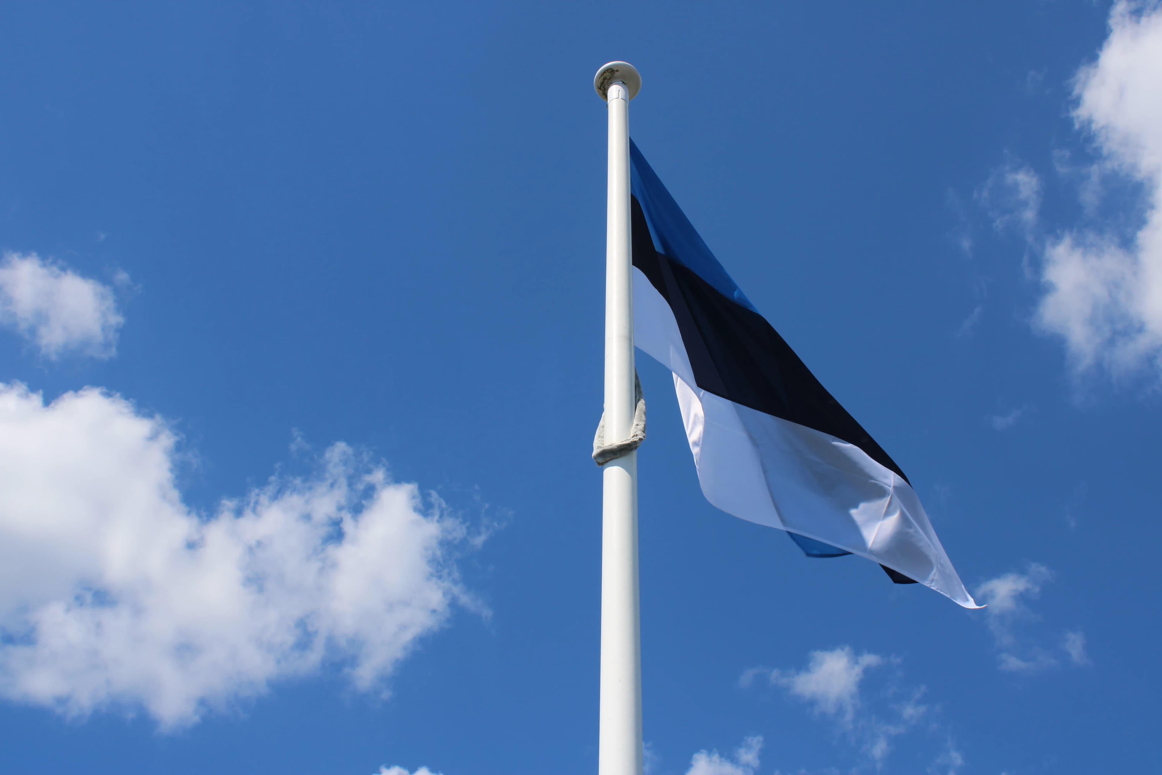 Deal.ee — AI-Indexed Business Intelligence and Marketplace for Estonia
